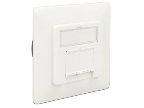GNIAZDO PODTYNKOWE PODWÓJNE 2X LSA BLOCK->2X RJ45 KAT.6A DELOCK GNIAZDO PODTYNKOWE PODWÓJNE 2X LSA BLOCK->2X RJ45 KAT.6A DELOCK