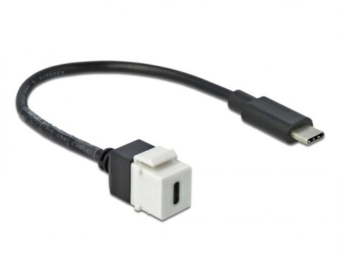 MODUŁ KEYSTONE GNIAZDO USB-C(F) 3.0->USB-C(M) NA KABLU 25CM CZARNO-BIAŁY DELOCK MODUŁ KEYSTONE GNIAZDO USB-C(F) 3.0->USB-C(M) NA KABLU 25CM CZARNO-BIAŁY DELOCK