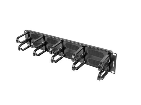 ORGANIZER KABLI AK-1204-B 19" 2U Z 10 UCHWYTAMI PANEL SZCZOTKOWANY TYP B CZARNY LANBERG ORGANIZER KABLI AK-1204-B 19" 2U Z 10 UCHWYTAMI PANEL SZCZOTKOWANY TYP B CZARNY LANBERG