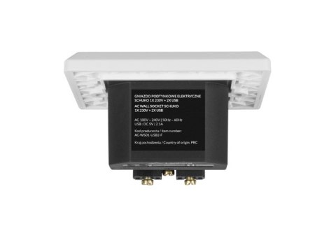 GNIAZDO PODTYNKOWE 230V POJEDYNCZE + 2X USB 2.1A SCHUKO BIAŁE LANBERG GNIAZDO PODTYNKOWE 230V POJEDYNCZE + 2X USB 2.1A SCHUKO BIAŁE LANBERG