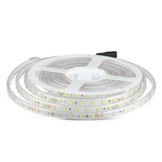 Taśma LED V-TAC SMD5050 300LED 24V IP65 RĘKAW 10W/m VT-5050 60-IP65 6400K 830lm