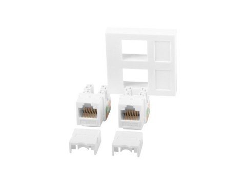 GNIAZDO 45X45 2X RJ45 + KEYSTONE KAT.6 UTP BIAŁE LANBERG GNIAZDO 45X45 2X RJ45 + KEYSTONE KAT.6 UTP BIAŁE LANBERG