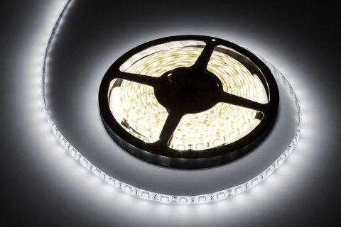 Sznur diodowy 5m zimny biały wodoodporny (300x5050SMD)- białe PCB Sznur diodowy 5m zimny biały wodoodporny (300x5050SMD)- białe PCB