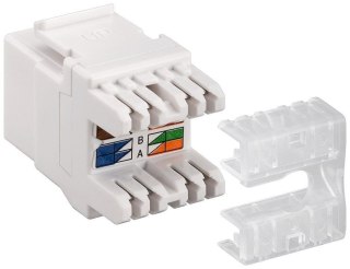 Złącze Keystone RJ45 CAT 6 UTP 250MHz