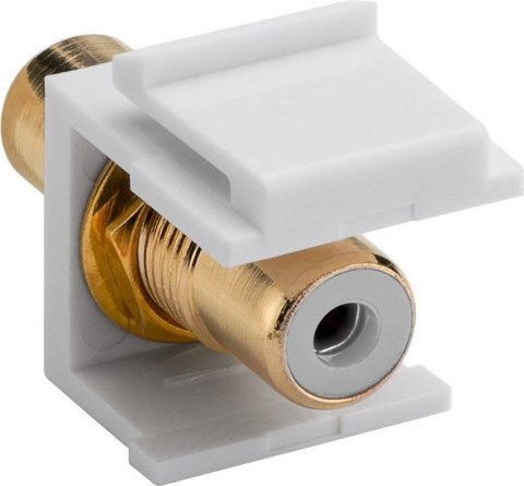 Złącze Keystone przedłużenie kabla RCA białe Złącze Keystone przedłużenie kabla RCA białe