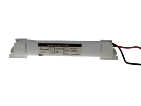 Moduł Awaryjny PRIMUS D4/A 2h + NiCd 3xC 3,6V 2,5A Moduł Awaryjny PRIMUS D4/A 2h + NiCd 3xC 3,6V 2,5A
