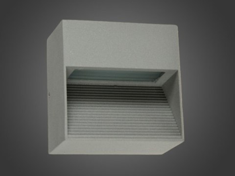 Oprawa elewacyjna LED Ninion 2W DW szara Oprawa elewacyjna LED Ninion 2W DW szara