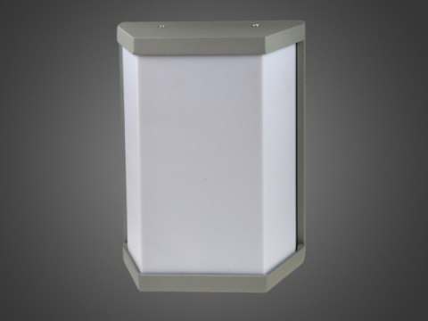 Oprawa elewacyjna LED Uffa 12W DW szara Oprawa elewacyjna LED Uffa 12W DW szara