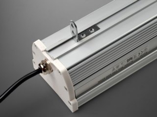 Oprawa led Brasias 60cm 20W czujnik ruchu MW DW