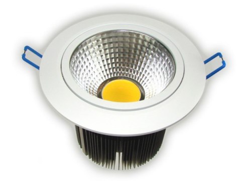 Downlight LED COB Rowana 20W biały dzienny Downlight LED COB Rowana 20W biały dzienny