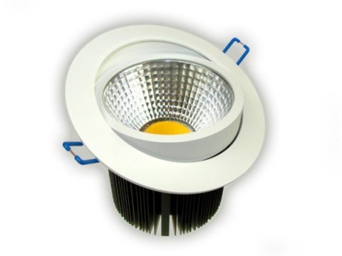 Downlight LED COB Rowana 20W biały dzienny Downlight LED COB Rowana 20W biały dzienny