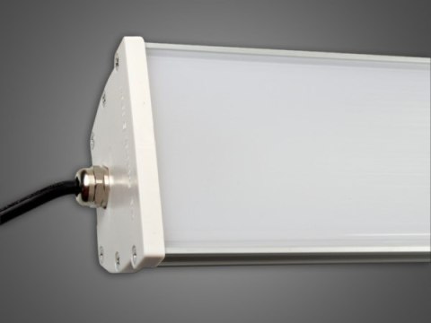 Oprawa led Brasias 60cm 20W czujnik ruchu MW DW