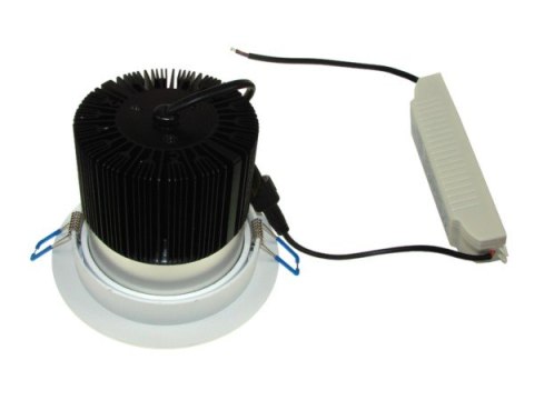 Downlight LED COB Rowana 20W biały dzienny Downlight LED COB Rowana 20W biały dzienny