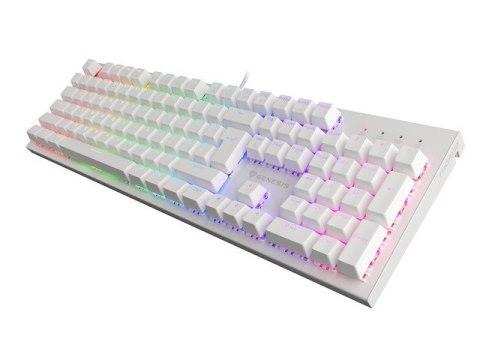 KLAWIATURA DLA GRACZY GENESIS THOR 303 US PODŚWIETLENIE RGB MECHANICZNA BROWN SWITCH (PO TESTACH) KLAWIATURA DLA GRACZY GENESIS THOR 303 US PODŚWIETLENIE RGB MECHANICZNA BROWN SWITCH (PO TESTACH)