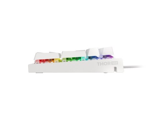 KLAWIATURA DLA GRACZY GENESIS THOR 303 US PODŚWIETLENIE RGB MECHANICZNA BROWN SWITCH (PO TESTACH) KLAWIATURA DLA GRACZY GENESIS THOR 303 US PODŚWIETLENIE RGB MECHANICZNA BROWN SWITCH (PO TESTACH)
