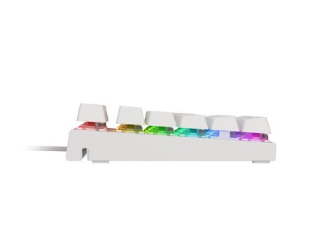 KLAWIATURA DLA GRACZY GENESIS THOR 303 TKL WHITE US PODŚWIETLENIE RGB MECHANICZNA BROWN (PO TESTACH) KLAWIATURA DLA GRACZY GENESIS THOR 303 TKL WHITE US PODŚWIETLENIE RGB MECHANICZNA BROWN (PO TESTACH)