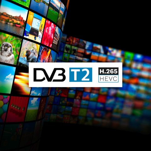 Tuner DVB-T2 H.265 HEVC Cabletech