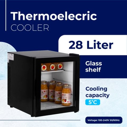 Adler Chłodziarka termoelektryczna - 28 Litrów
