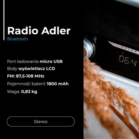 Adler Radio Bluetooth