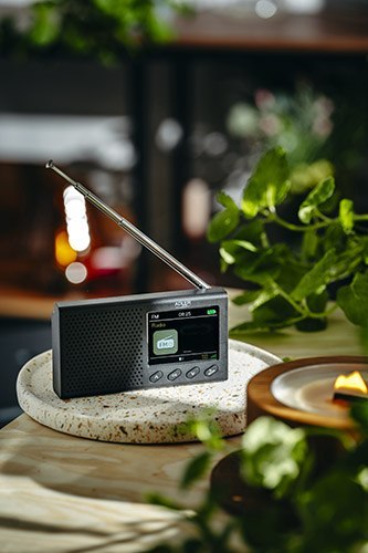 Adler Radio Przenośne - LCD - FM - Bluetooth - Zegar