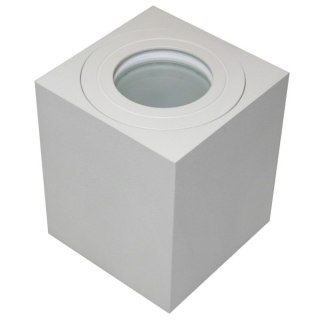 Oprawa sufitowa Sara White prostokąt IP54 80*95