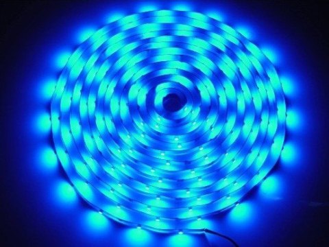Taśma LED Premium 2835 5m/300diod niebieska IP Taśma LED Premium 2835 5m/300diod niebieska IP