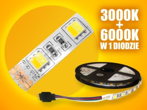 Taśma LED Basic 5050 WW+CW 5m/300diod Taśma LED Basic 5050 WW+CW 5m/300diod