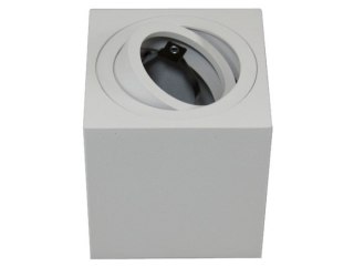 Oprawa sufitowa Febe White ruchoma kwadrat alumini