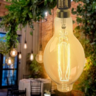 Żarówka węglowa Seligit ED118 60W E27 BIG