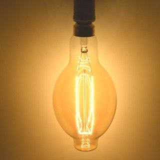 Żarówka węglowa Seligit ED118 60W E27 BIG