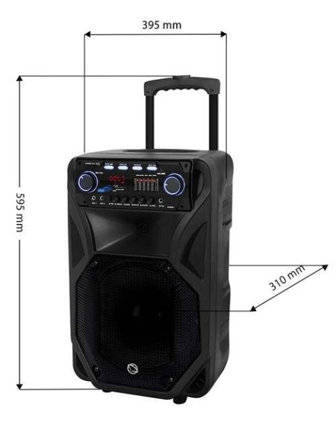 Głośnik bluetooth kolumna Power Audio Manta FONOS SPK 5021 PRO