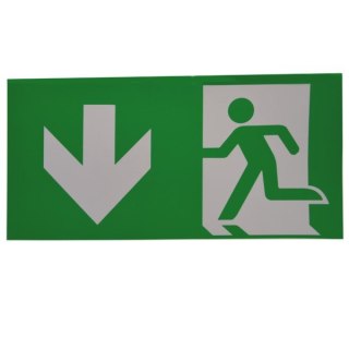 PIktogram E9 do oprawy awaryjnej Oximia EXIT DOWN.
