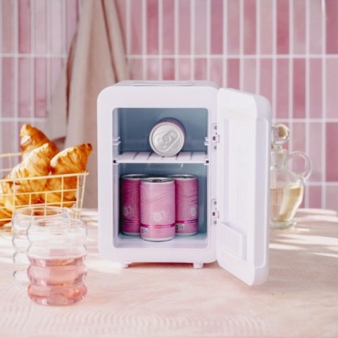 Adler Mini lodówka 4L | Chłodzenie i podgrzewanie | Do domu i samochodu | System Peltiera