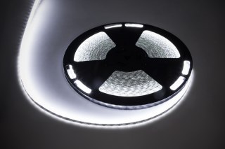 Sznur diodowy 25m Rebel (60x5050SMD/m), wodoodporny, zimny biały, 12V