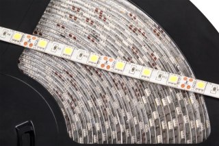 Sznur diodowy 25m Rebel (60x5050SMD/m), wodoodporny, zimny biały, 12V