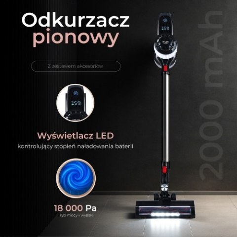 Adler Odkurzacz pionowy - Bezworkowy z bezszczotkową technologią silnika