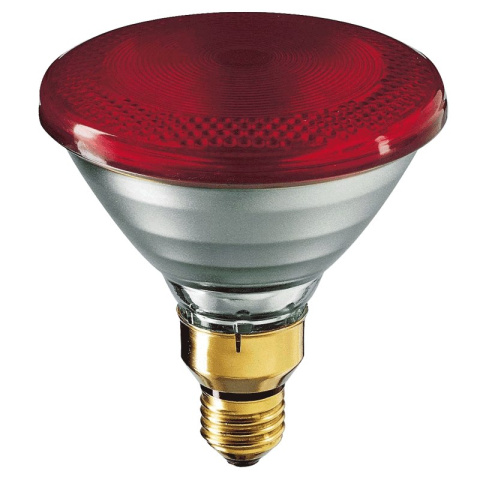 Philips promiennik PAR38 IR Red 150W 230V E27 lampa grzewcza czerwony Philips promiennik PAR38 IR Red 150W 230V E27 lampa grzewcza czerwony